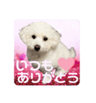 もぷ♡biglove（個別スタンプ：9）
