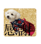 もぷ♡biglove（個別スタンプ：10）