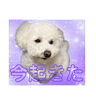 もぷ♡biglove（個別スタンプ：14）