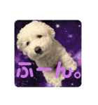 もぷ♡biglove（個別スタンプ：16）