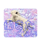 もぷ♡biglove（個別スタンプ：25）