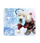 もぷ♡biglove（個別スタンプ：31）