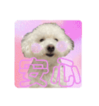 もぷ♡biglove（個別スタンプ：35）