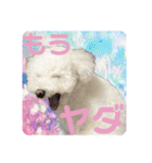 もぷ♡biglove（個別スタンプ：36）