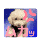 もぷ♡biglove（個別スタンプ：38）