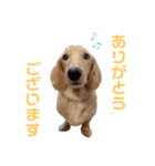 ちゃおもか（個別スタンプ：2）