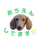 ちゃおもか（個別スタンプ：4）
