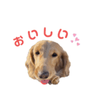 ちゃおもか（個別スタンプ：7）