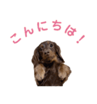 ちゃおもか（個別スタンプ：8）