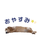 ちゃおもか（個別スタンプ：12）