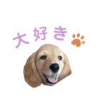 ちゃおもか（個別スタンプ：15）