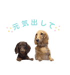 ちゃおもか（個別スタンプ：21）