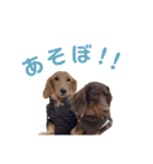 ちゃおもか（個別スタンプ：24）