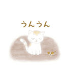 キャッツセンス（個別スタンプ：14）