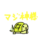 こかめなんです！（個別スタンプ：9）