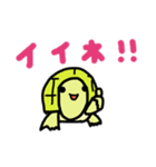 こかめなんです！（個別スタンプ：11）