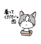 ねこの銀ちゃん。（個別スタンプ：9）