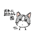 ねこの銀ちゃん。（個別スタンプ：13）