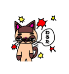 可愛くないシャム猫くん！！5（個別スタンプ：6）