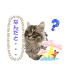 うちの猫猫スタンプさん（個別スタンプ：1）