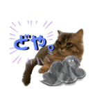 うちの猫猫スタンプさん（個別スタンプ：6）