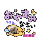 トイプードルリオン（個別スタンプ：7）