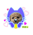 トイプードルリオン（個別スタンプ：10）