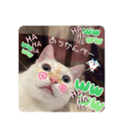 のんちゃんとちぃ様スタンプ♡（個別スタンプ：1）
