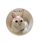 のんちゃんとちぃ様スタンプ♡（個別スタンプ：3）