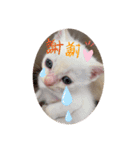 のんちゃんとちぃ様スタンプ♡（個別スタンプ：5）