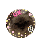 のんちゃんとちぃ様スタンプ♡（個別スタンプ：7）