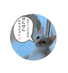 のんちゃんとちぃ様スタンプ♡（個別スタンプ：12）