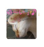 のんちゃんとちぃ様スタンプ♡（個別スタンプ：14）