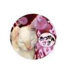 のんちゃんとちぃ様スタンプ♡（個別スタンプ：16）