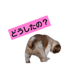 こっちゃん(3)（個別スタンプ：2）