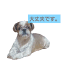 こっちゃん(3)（個別スタンプ：4）