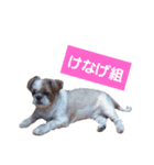こっちゃん(3)（個別スタンプ：8）