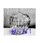 ヨンぱっち（個別スタンプ：25）