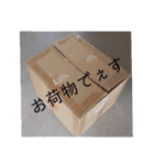 ヨンぱっち（個別スタンプ：31）
