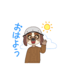 茶犬大佐（個別スタンプ：1）