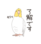 オカメインコさん。(ホワイト)2（個別スタンプ：3）