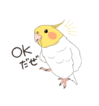 オカメインコさん。(ホワイト)2（個別スタンプ：7）