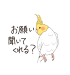 オカメインコさん。(ホワイト)2（個別スタンプ：22）