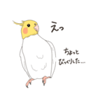 オカメインコさん。(ホワイト)2（個別スタンプ：27）