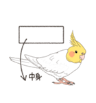 オカメインコさん。(ホワイト)2（個別スタンプ：40）