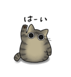 もちゃねこキジトラ (新)（個別スタンプ：6）