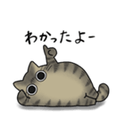 もちゃねこキジトラ (新)（個別スタンプ：8）