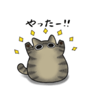 もちゃねこキジトラ (新)（個別スタンプ：13）