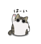 もちゃねこキジ白（個別スタンプ：6）