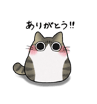 もちゃねこキジ白（個別スタンプ：11）